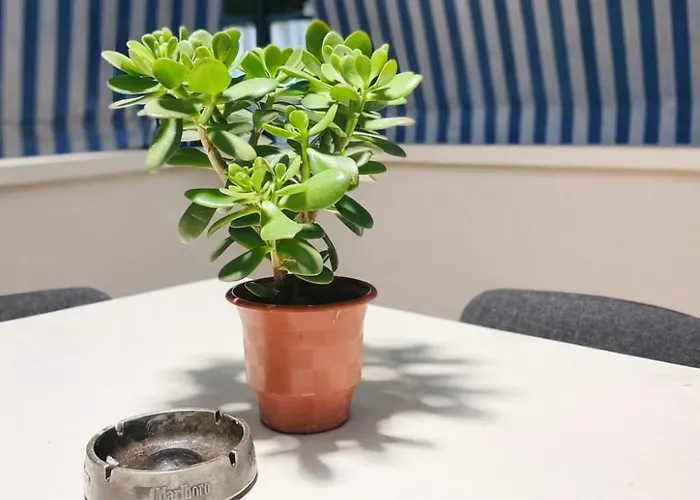 Cozy With Sunny Terrace ティラナ