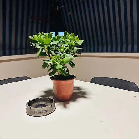 شقة Cozy With Terrace تيرانا
